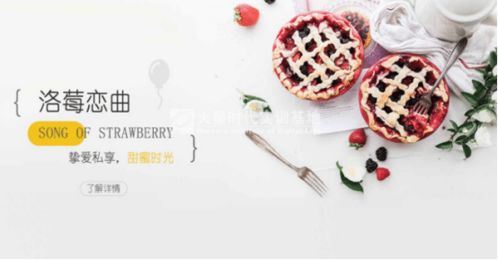 美工与广告设计 职能差异与代理服务解析